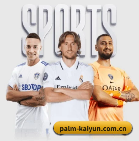 五大服务分区,信息按项目分类 | kaiyun